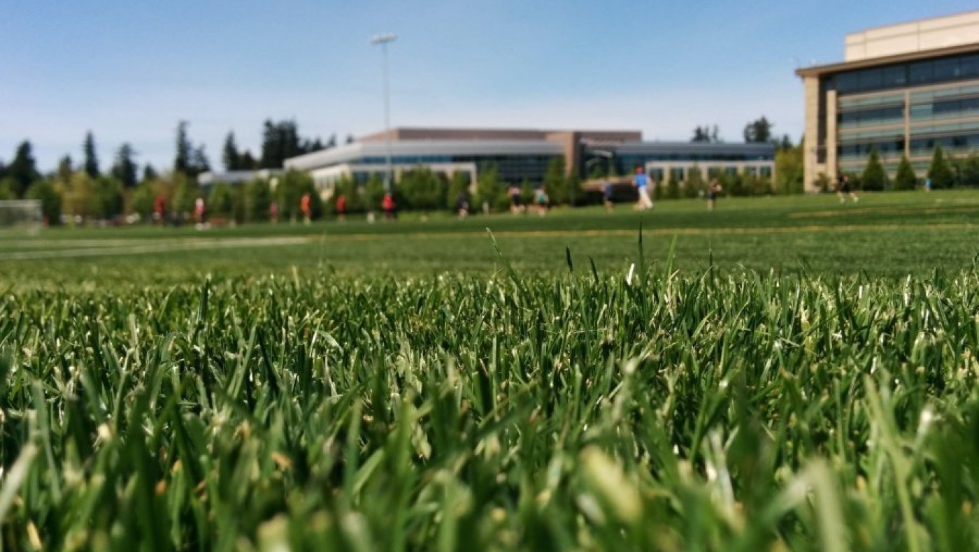 Το γήπεδο... μιας χρήσης που πάει για ανακύκλωση