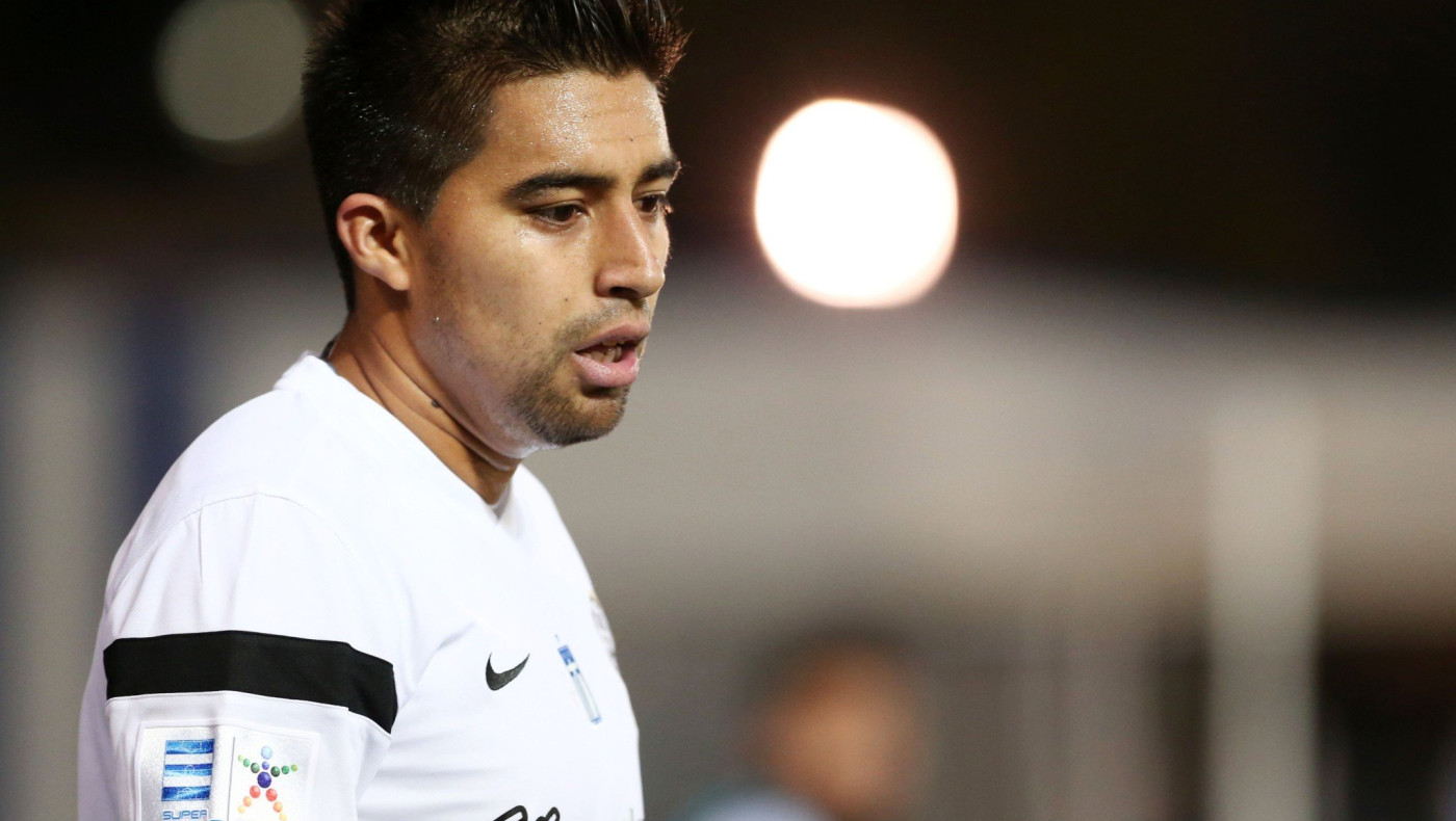 Εσωτερικές μεταγραφές