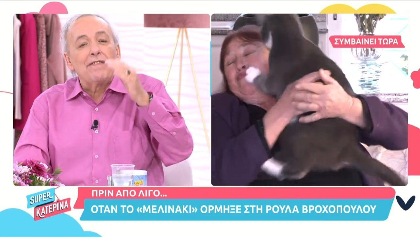 Ρούλα Βροχοπούλου: Της επιτέθηκε η γάτα της ενώ ήταν on air