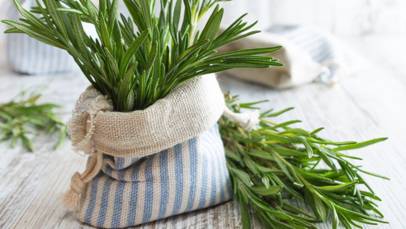 Το αρωματικό βότανο που καταπολεμά Covid-19 και φλεγμονές