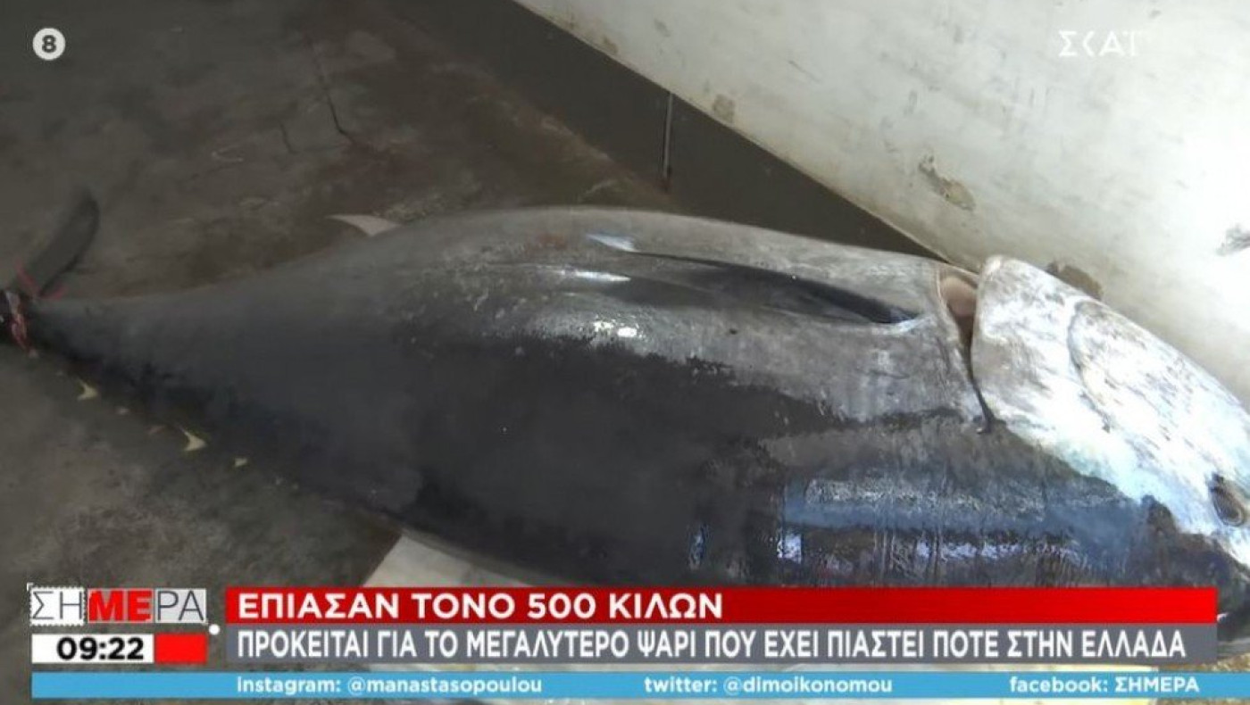 Απίστευτο: Έπιασαν τόνο 390 κιλών και μήκους 3 μέτρων στο Ιόνιο Πέλαγος!