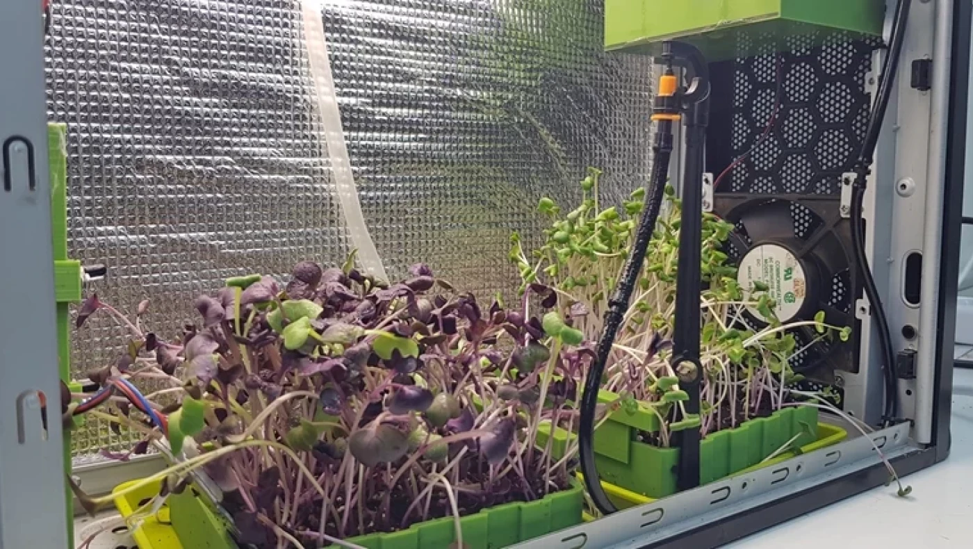 Κιλκίς: Μαθητές και μαθήτριες καλλιεργούν πολύτιμα μικρολαχανικά