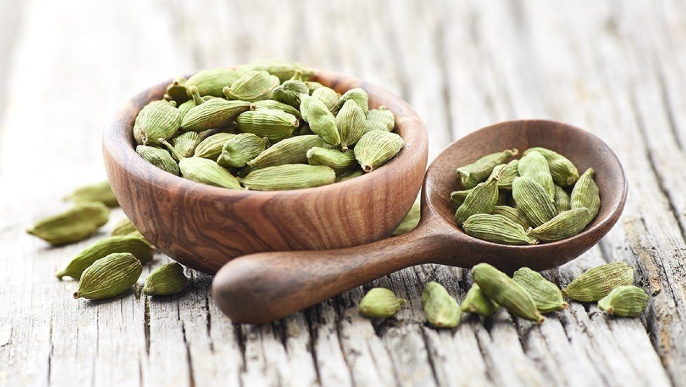 Το φαρμακευτικό φυτό που ενισχύει τη μνήμη