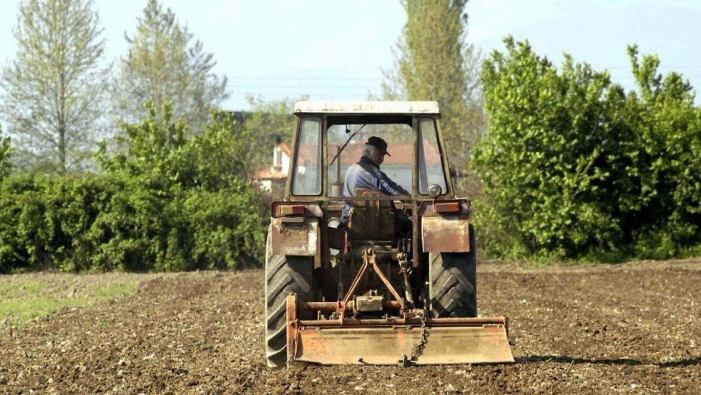 Απίστευτη «μπίζνα»: Λαρισαίος αγρότης έκρυβε αρχαία αξίας 95.000 ευρώ στην αυλή του