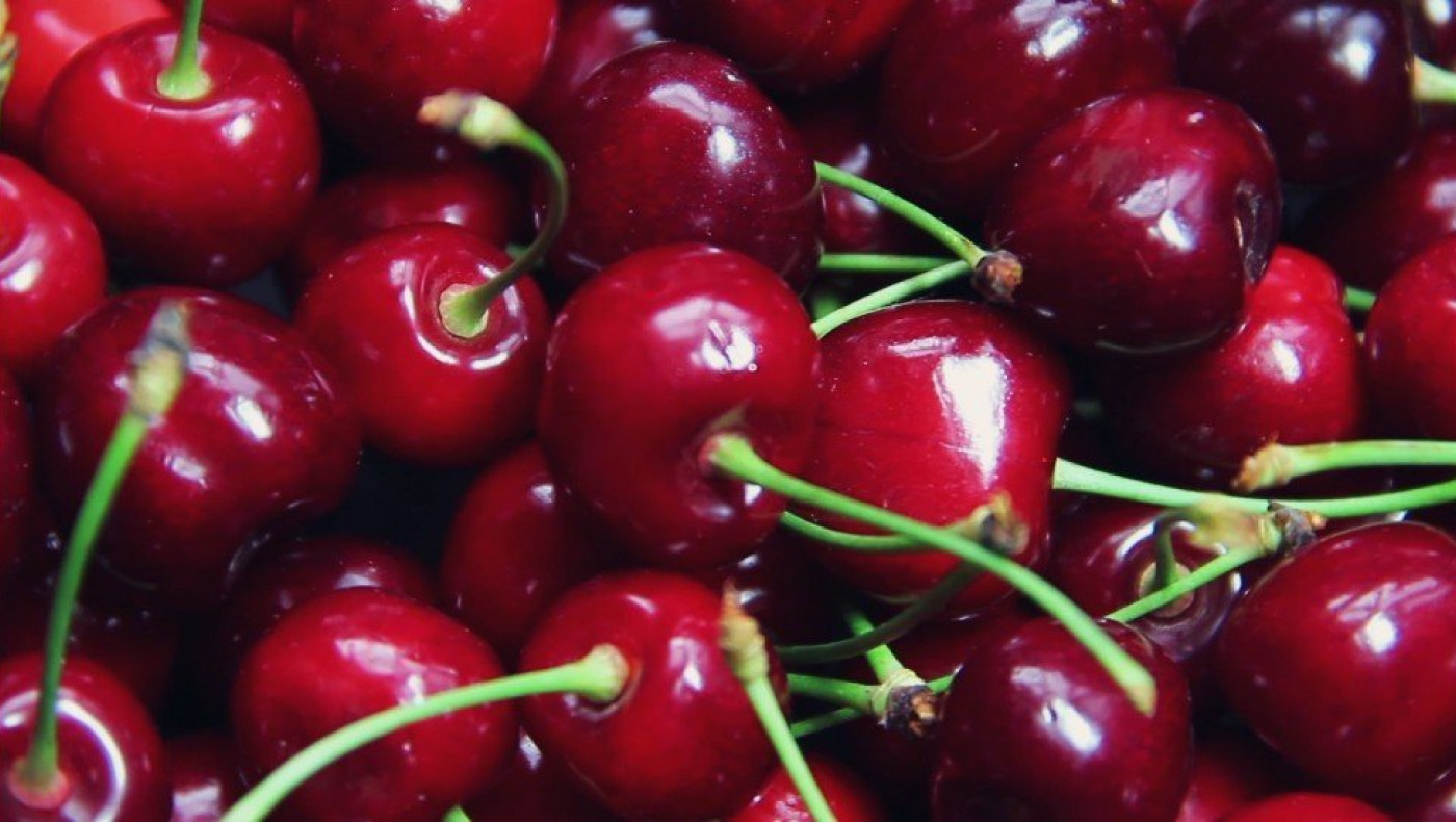 Αγροδιατροφή: Βασικός πυλώνας ανάπτυξης για την Κεντρική Μακεδονία