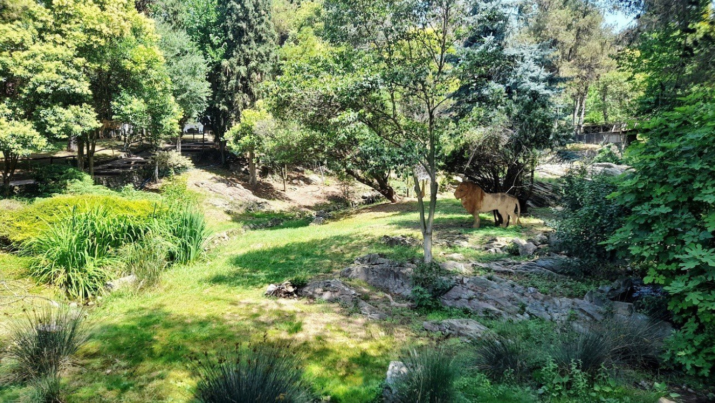 Θεσσαλονίκη: Ανοίγει σήμερα ξανά τις πύλες του το πάρκο του ζωολογικού κήπου