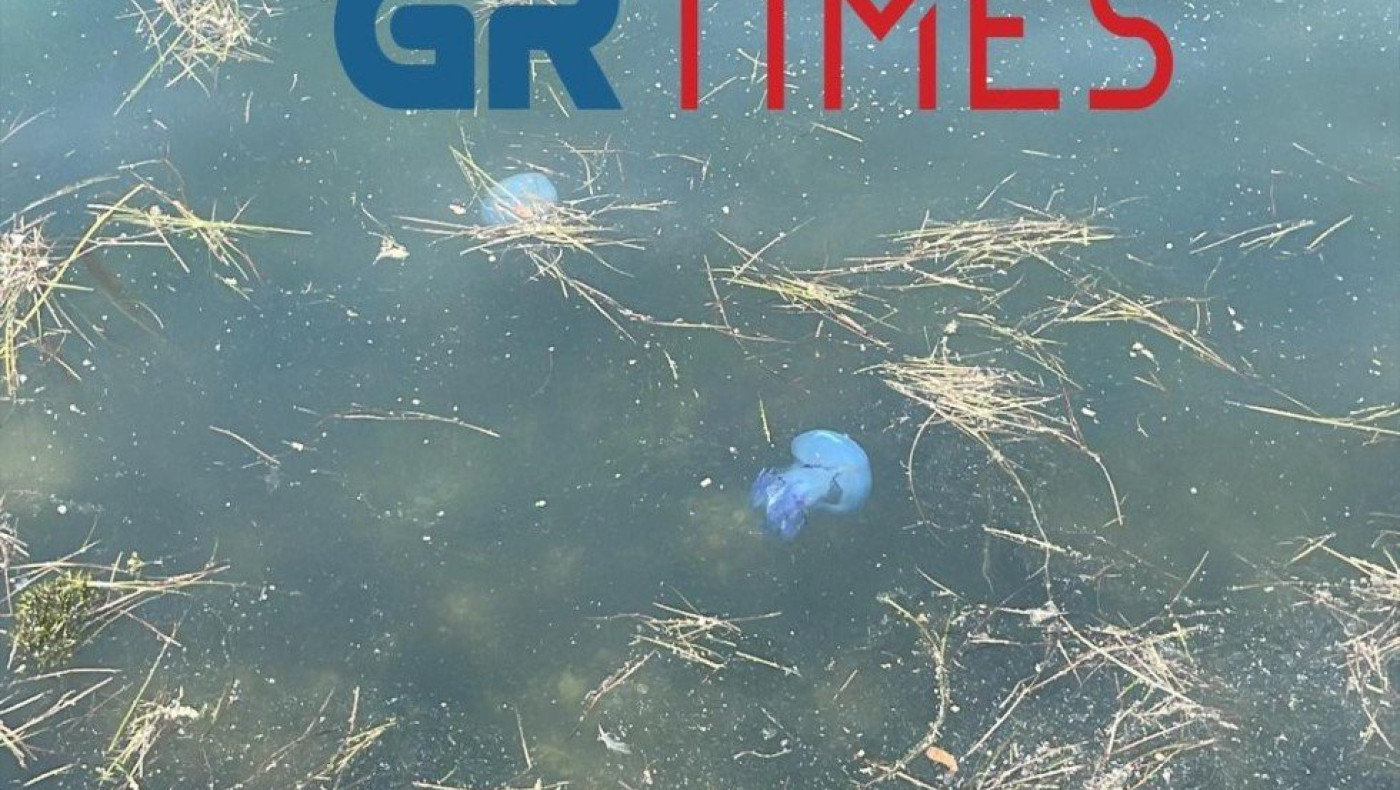 Θεσσαλονίκη: Έφτασαν οι γαλάζιες μέδουσες