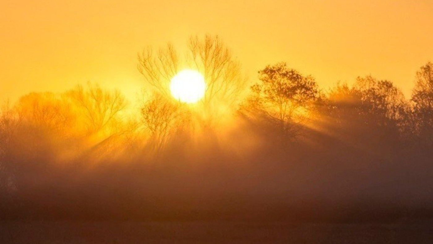Άφθονο νερό, ελαφρά γεύματα και ρούχα – Οδηγίες αντιμετώπισης του καύσωνα από την Πολιτική Προστασία