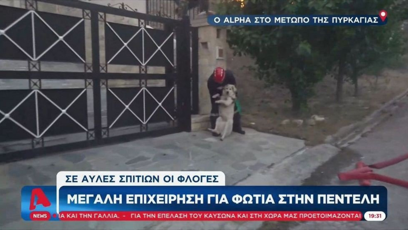 Φωτιά στην Πεντέλη: Η στιγμή που εθελοντής σώζει σκύλο μέσα από ένα σπίτι (video)