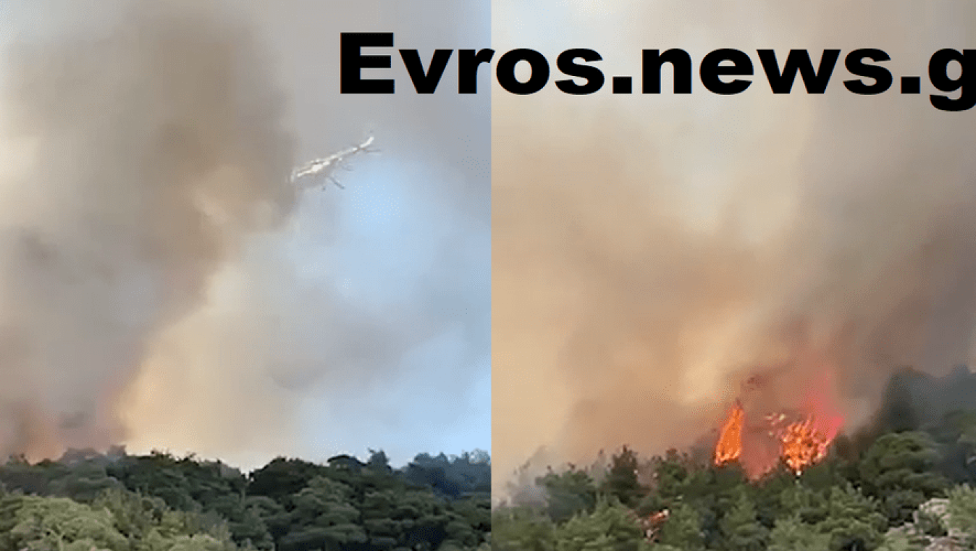 Φωτιά στον Έβρο: Μάχη για να σωθεί το δάσος της Δαδιάς