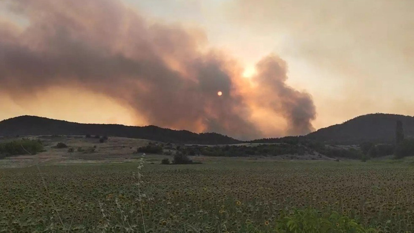 Φωτιά στον Έβρο: Μαίνεται το πύρινο μέτωπο στο δάσος της Δαδιάς