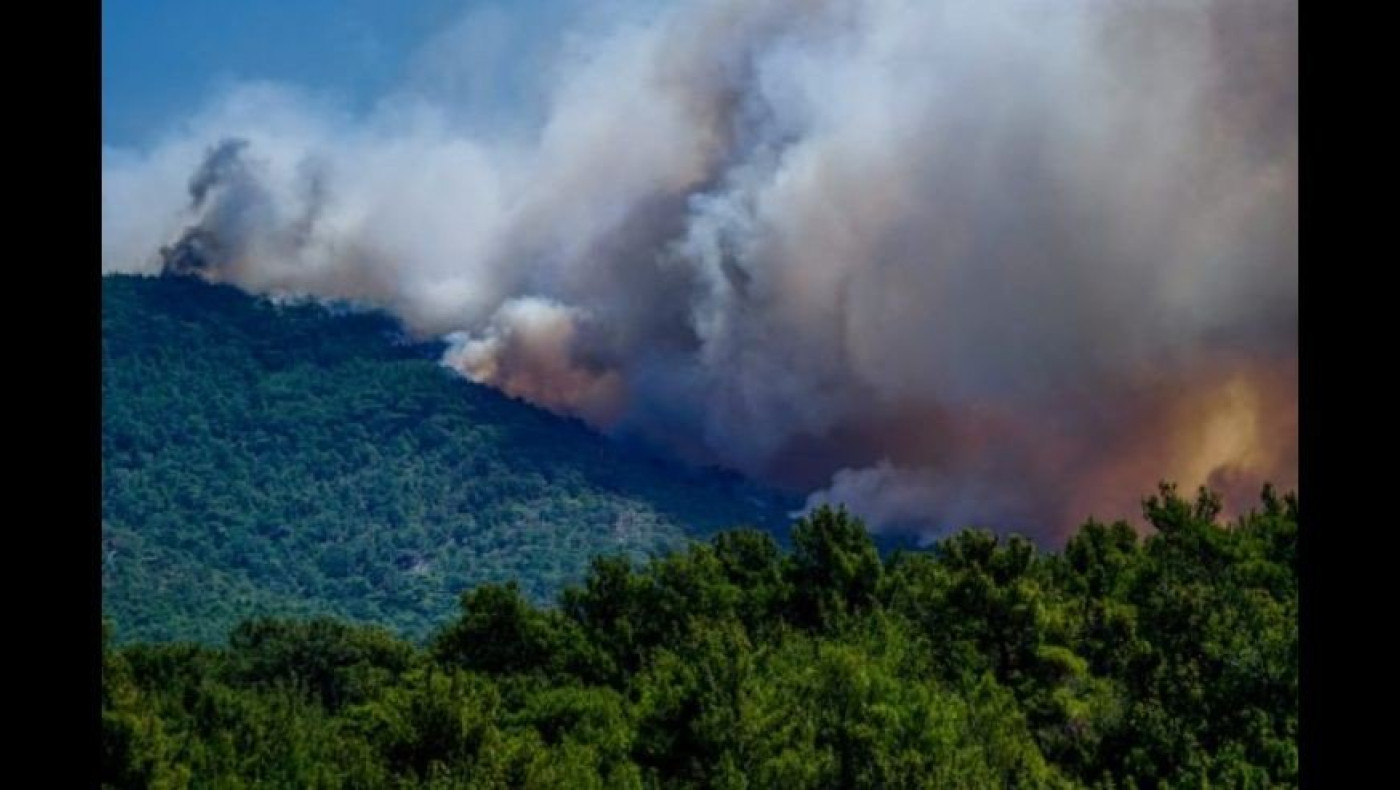 Φωτιά τώρα στην Πέλλα: Στο σημείο ισχυρές δυνάμεις της πυροσβεστικής