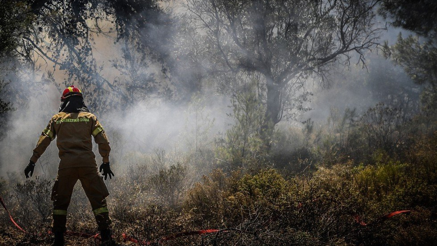 Έβρος: Αρχίζει η οικολογική αποκατάσταση του Εθνικού Πάρκου Δάσους Δαδιάς