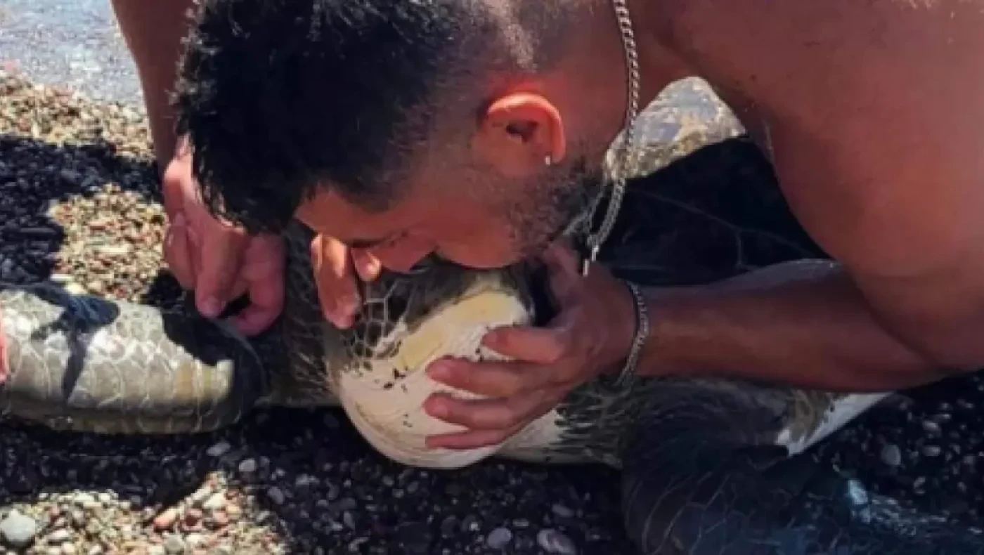 Ρόδος: Δύτης έκανε... τεχνητή αναπνοή σε θαλάσσια χελώνα που μπλέχτηκε σε σχοινιά!