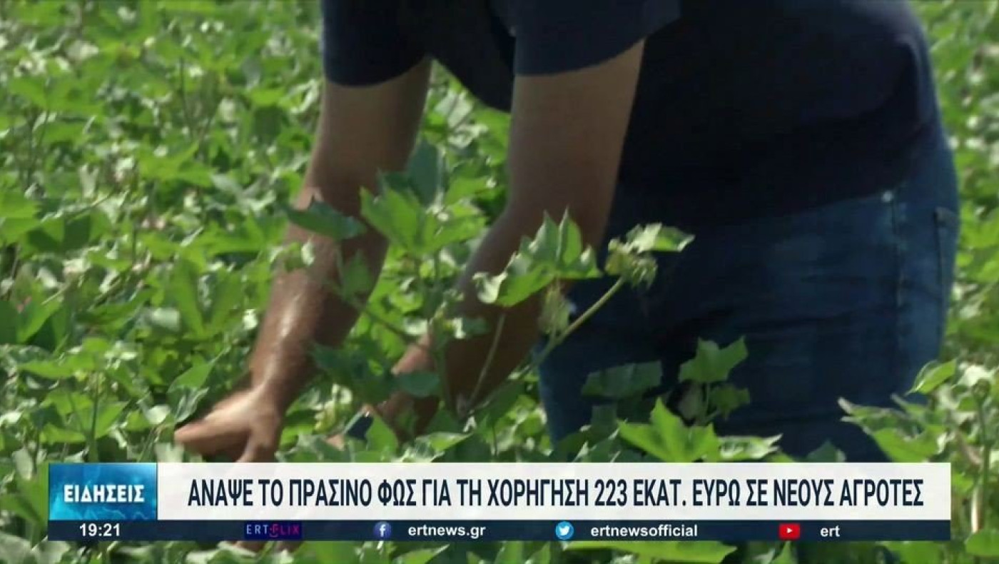 Επιδότηση: Πότε δίνονται τα 223 εκατ. ευρώ σε νέους αγρότες