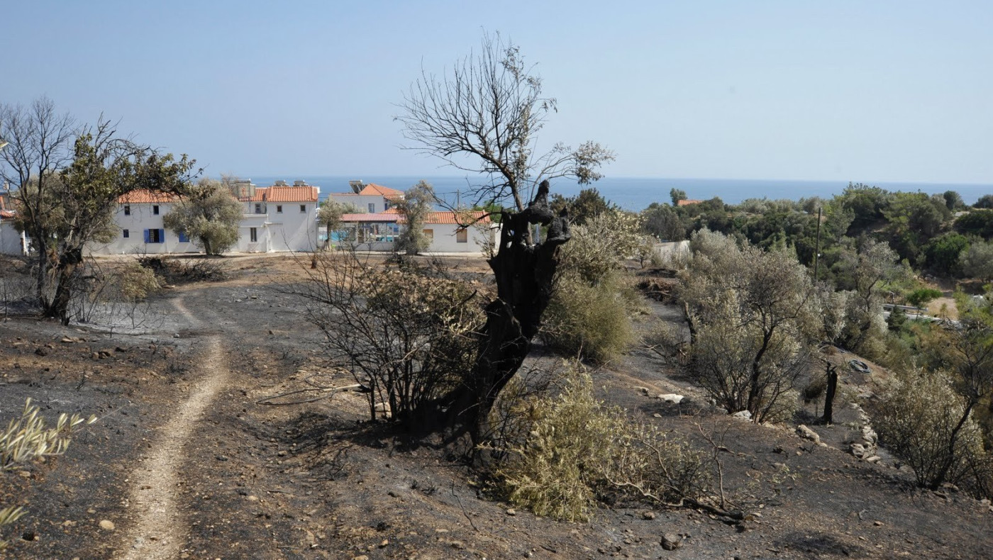 Οχι άλλο… κάρβουνο