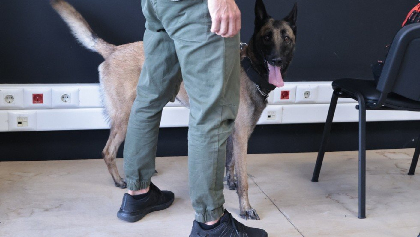 Αρης: Κλιμάκιο της ΕΛ.ΑΣ. έκανε έλεγχο στην αίθουσα Τύπου του «Κλ.Βικελίδης» με βέλγικο σκυλί