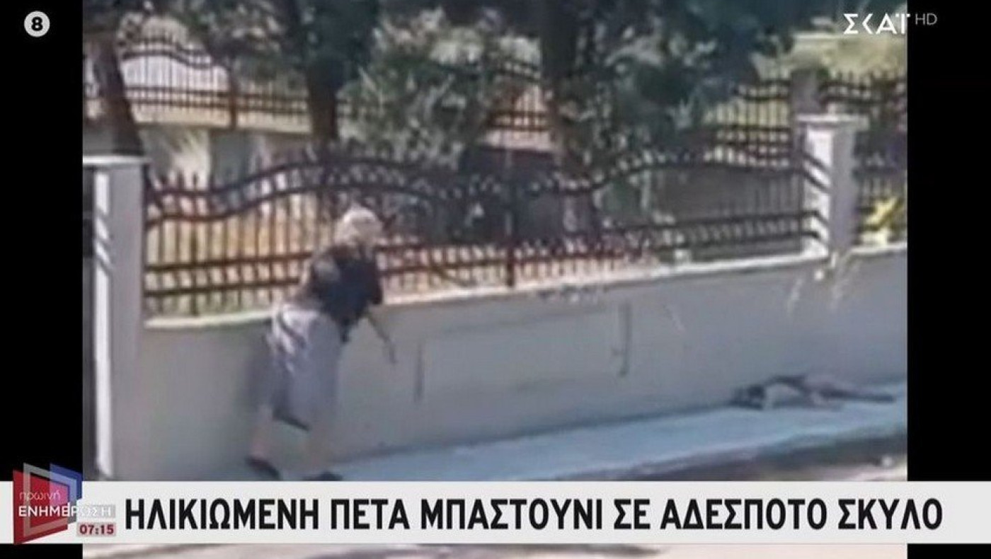 Θεσσαλονίκη: Οργή για την 75χρονη που πέταξε μπαστούνι σε σκύλο