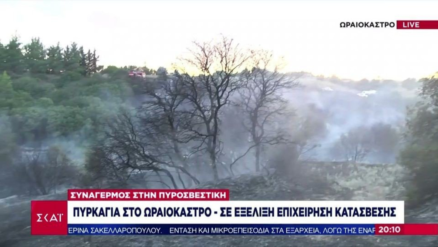 Πυρκαγιά στο Ωραιόκαστρο - Σε εξέλιξη επιχείρηση κατάσβεσης