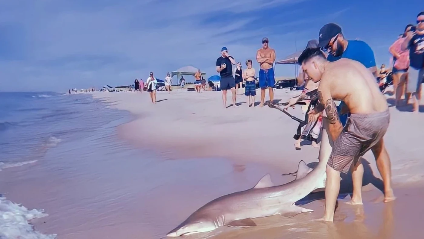 Νέα Υόρκη: Νεαρός έσωσε τραυματισμένο καρχαρία που ξεβράστηκε σε κοσμική παραλία