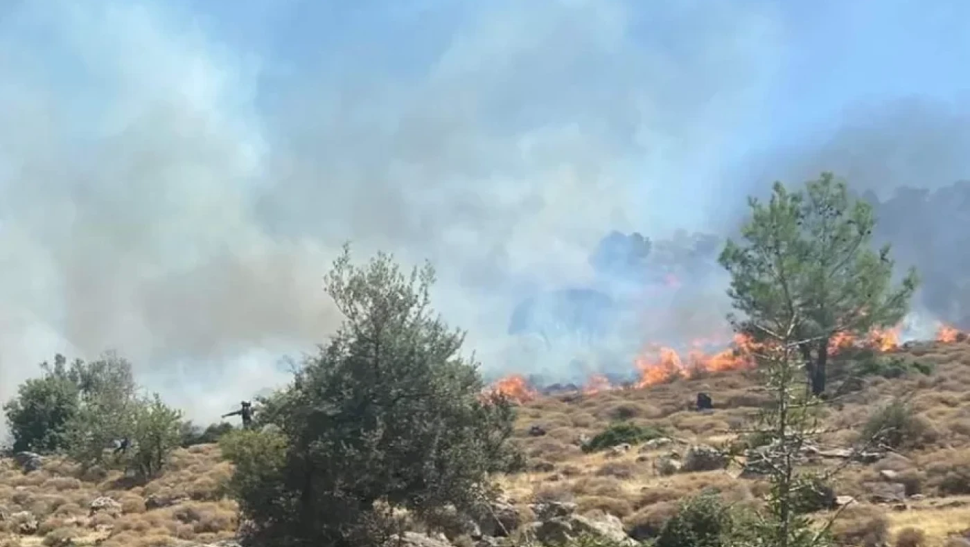 Φωτιά στο Αλιβέρι: Καλύτερη η εικόνα - Συνελήφθη 75χρονος