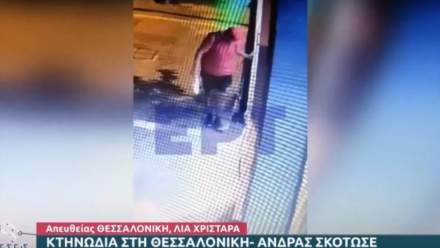 Κινητοποίηση στα social για τον εντοπισμό του άνδρα που χτύπησε γατάκι στη Θεσσαλονίκη