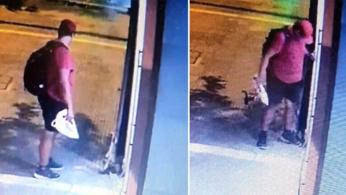 Θεσσαλονίκη: «Διδάκτωρ στο ΑΠΘ είναι ο άντρας που έλιωσε με το πόδι του το γατάκι»