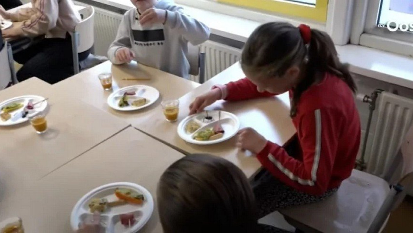 Σχολεία στην Ολλανδία σερβίρουν αλευροσκώληκες και έντομα σε παιδιά για να σώσουν τον πλανήτη