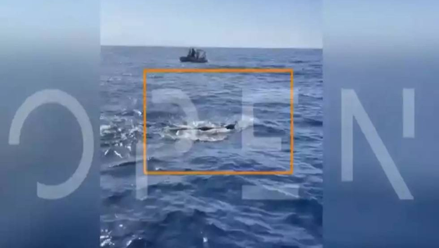 Νέα τουρκική πρόκληση: Ακταιωρός παρενόχλησε παραολυμπιονίκη