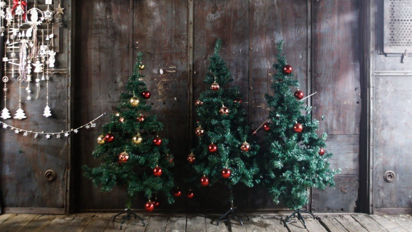 Μυρίζει Χριστούγεννα! Ξεκινά η διανομή ελάτων σε όλη την Ελλάδα από τον Ταξιάρχη Χαλκιδικής