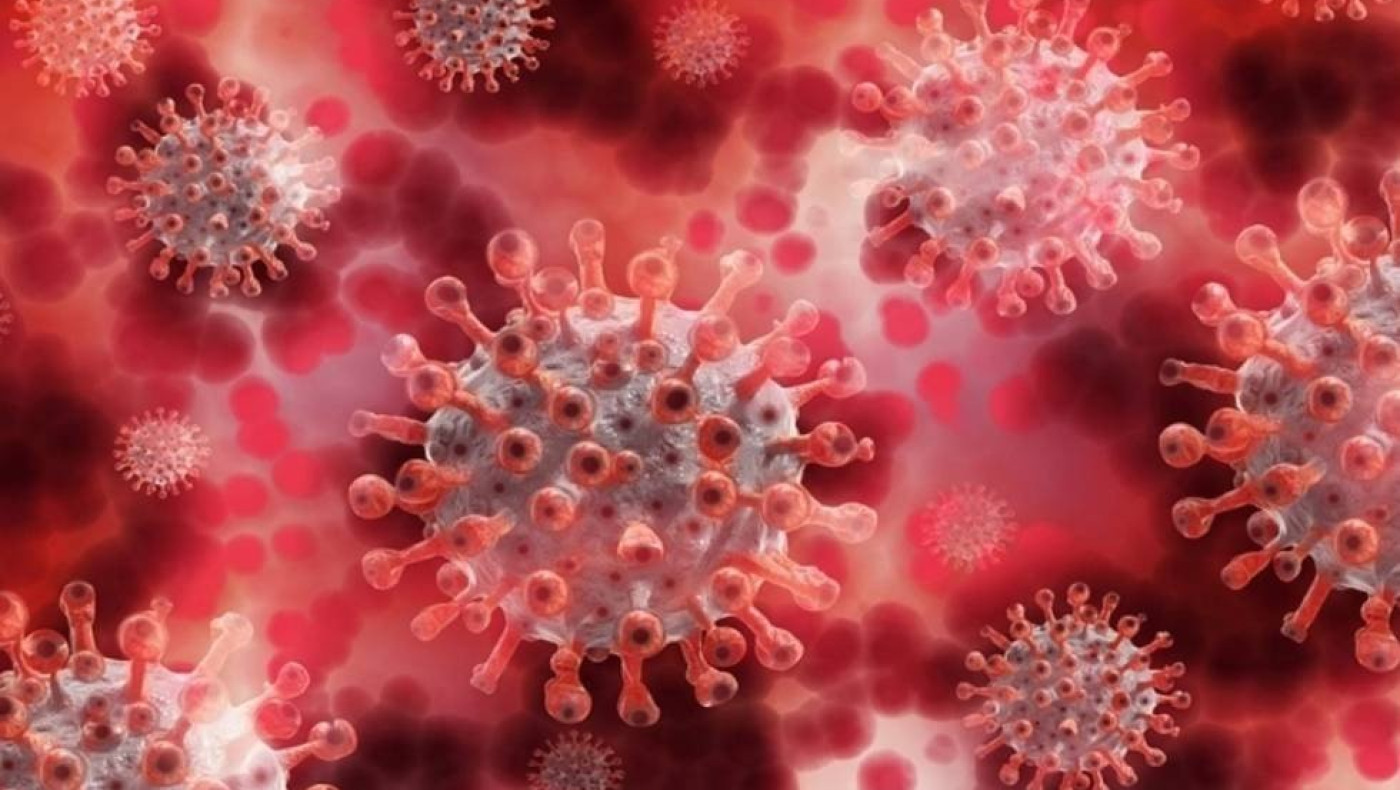 Ανησυχία στον πλανήτη: Ζωντανεύουν οι «ιοί ζόμπι» μετά από 50.000 χρόνια