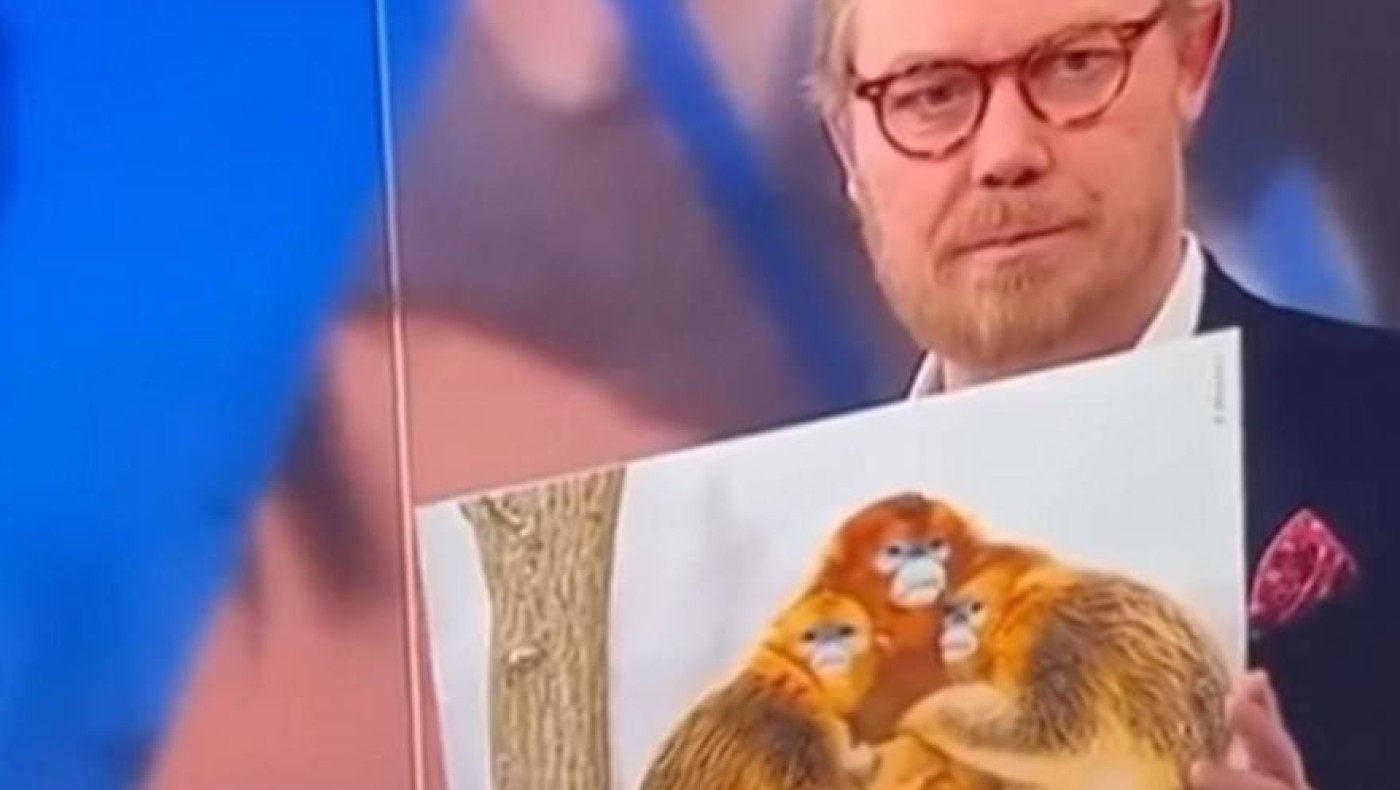 Δανός δημοσιογράφος συνέκρινε τους μαροκινούς ποδοσφαιστές με... μαϊμούδες