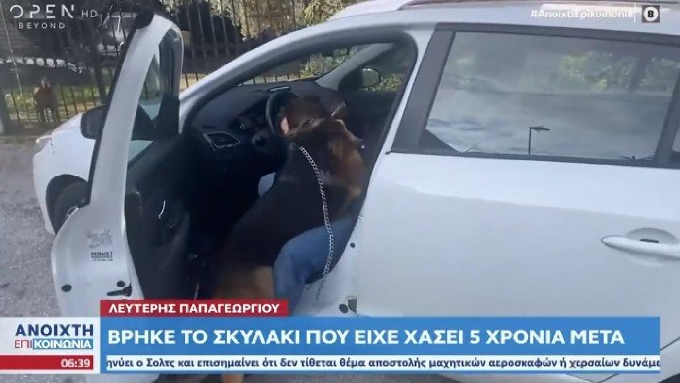 Βρήκε πέντε χρόνια μετά το σκυλάκι του: «Για μήνες είχαμε χάσει τον ύπνο μας»