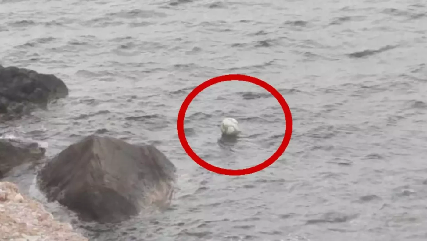 Τήνος: Πώς μια μπάλα ποδοσφαίρου κατέληξ» να... κολυμπά στα νερά του λιμανιού