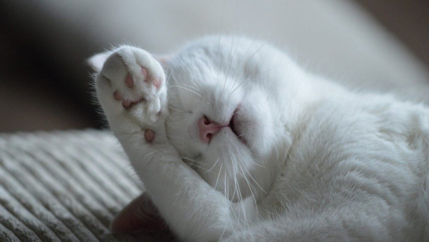 Μεσημεριανός ΄ύπνος: Θα εκπλαγείτε από τη διάρκεια που πρέπει να έχει