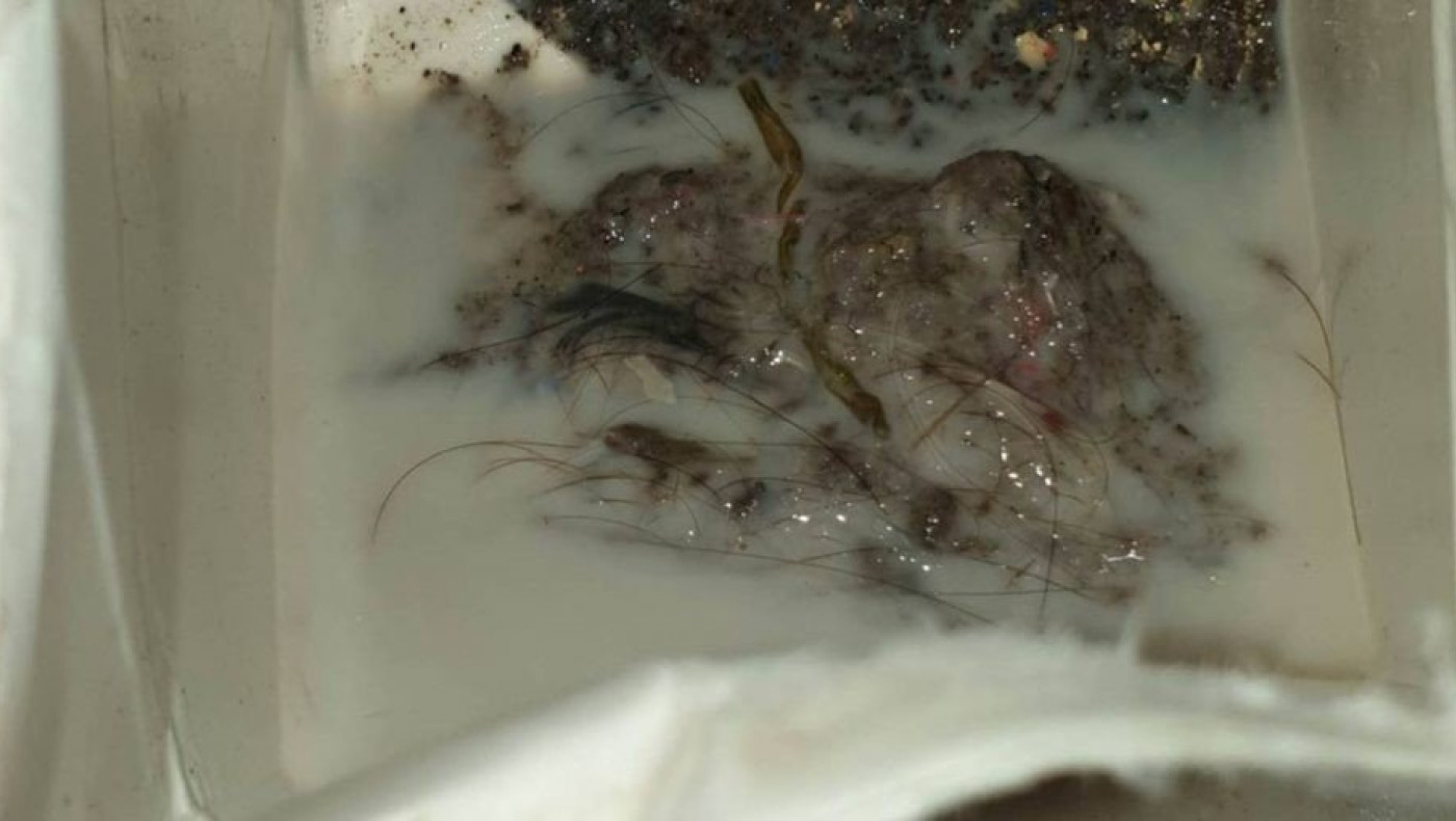 Σοκ: Τρίχες και σκουπίδια σε γάλα που προσφέρεται στους μαθητές των σχολείων