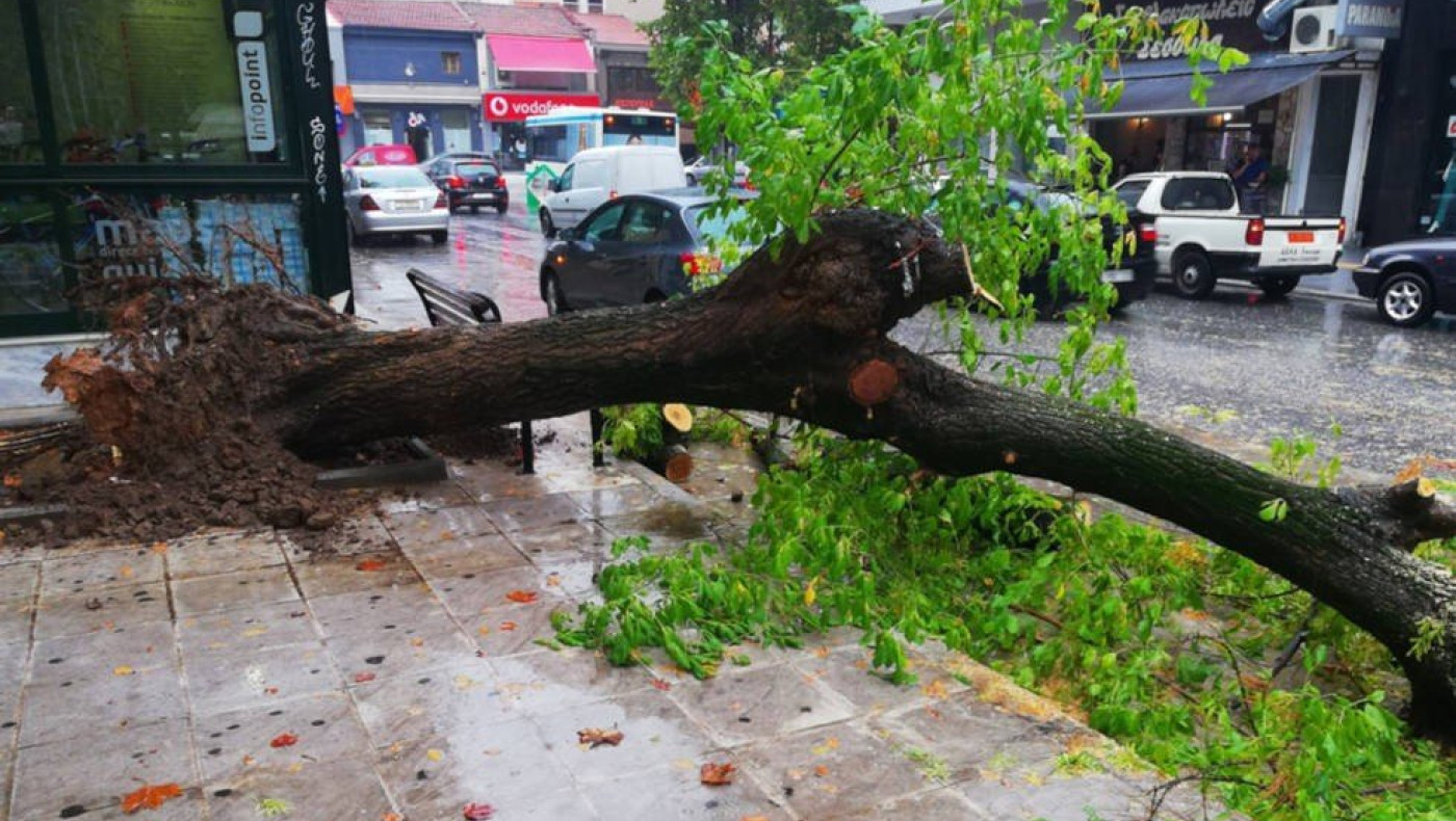 Θεσσαλονίκη: Πτώσεις δένδρων και καταστροφές εξαιτίας της κακοκαιρίας