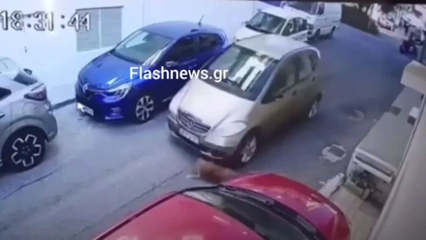 Πάσχα στο κρατητήριο για τη γυναίκα που χτύπησε τον σκύλο με το αυτοκίνητο