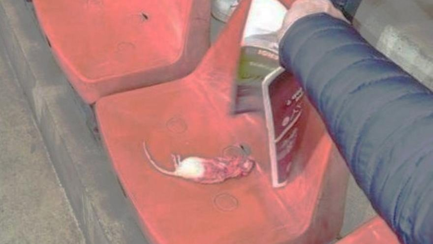 Βέλγιο: Οπαδοί πέταξαν νεκρούς αρουραίους στους αντίπαλους τους!