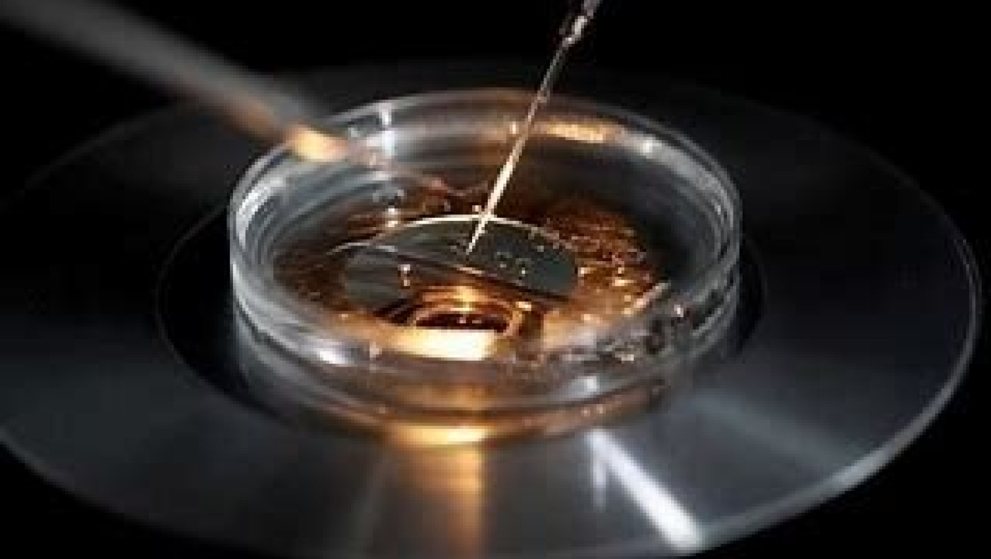 Δικαστήριο απαγόρευσε σε πατέρα... 550+ παιδιών να σταματήσει να δωρίζει το σπέρμα του!