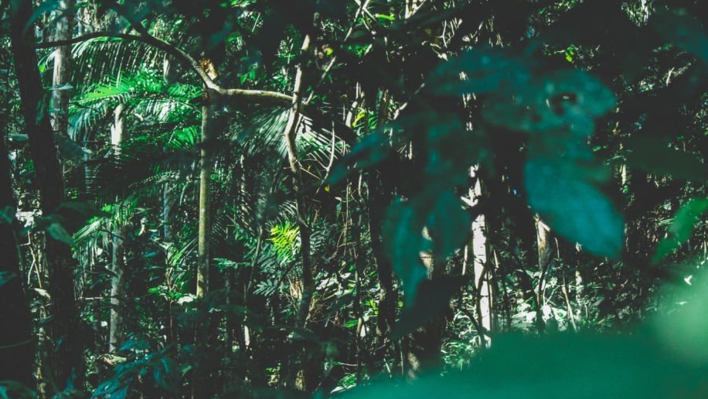 Αυτό το ζώο σκοτώνει τους περισσότερους ανθρώπους κάθε χρόνο