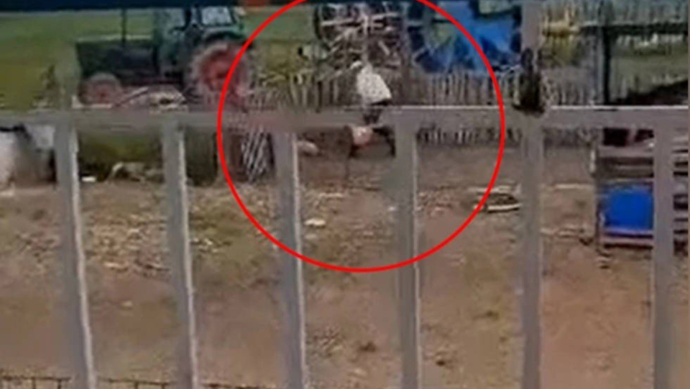 Θεσσαλονίκη: Κτηνωδία-Άντρας χτυπά βάναυσα σκυλί στον Λαγκαδά-Σκληρό βίντεο