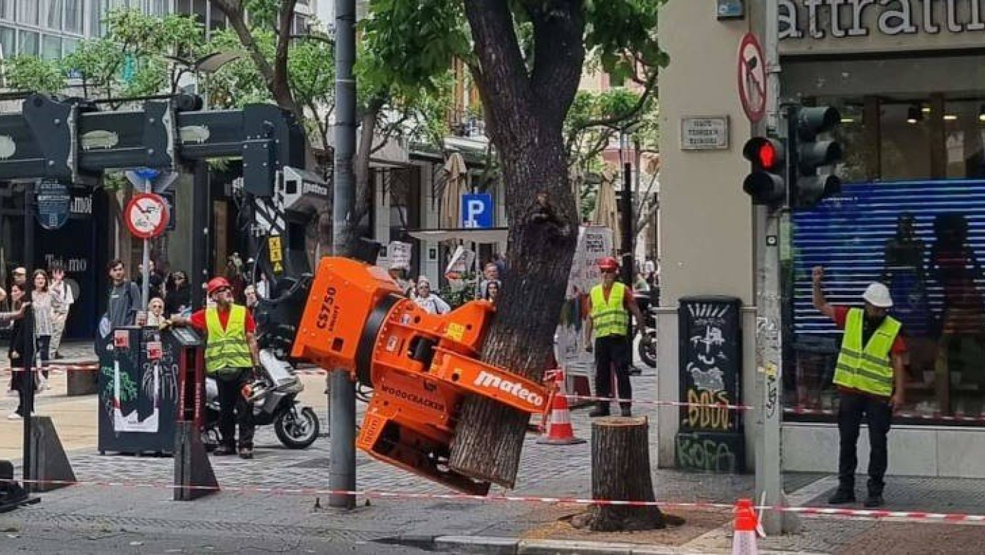 Viral φωτογραφία από τη Θεσσαλονίκη: Η στιγμή που κόβουν δέντρο στο κέντρο της πόλης