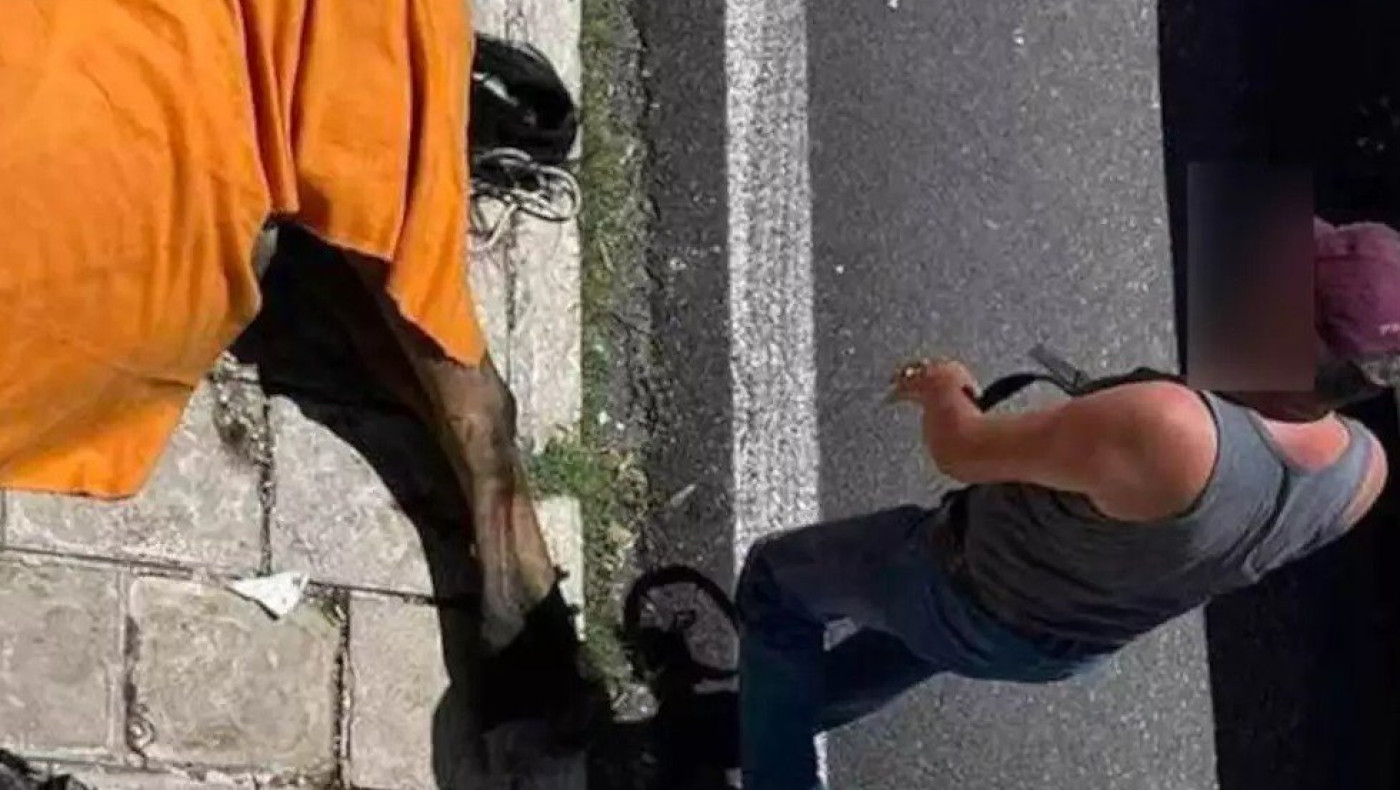 Οργή για το άλογο που ξεψύχησε στην Κέρκυρα - Καταγγελίες για τον αμαξά