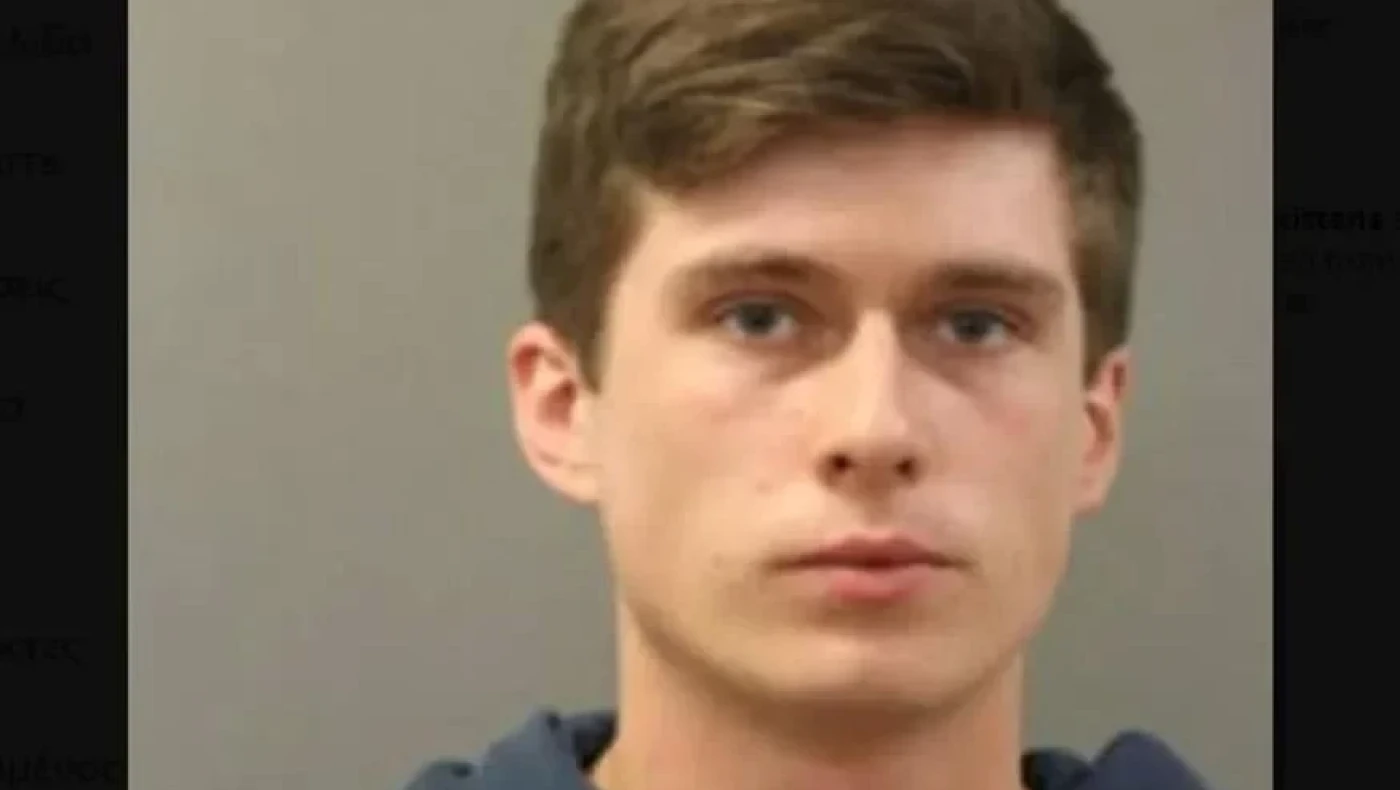 Απίστευτη βαρβαρότητα : Έπνιγε από 8 χρονών γατάκια στη μπανιέρα και τα έβαζε στο φούρνο μικροκυμάτων