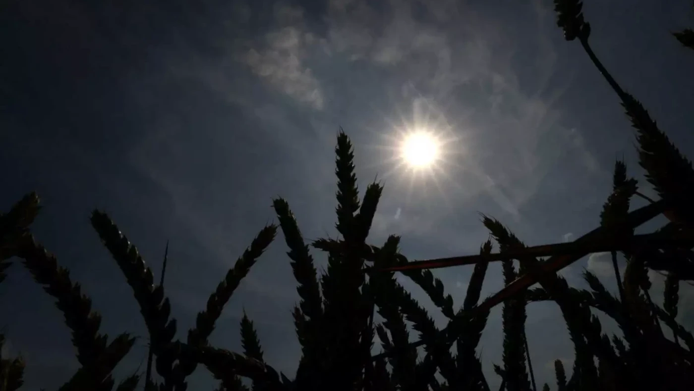 Καύσωνας Κλέων: Καμίνι όλη η χώρα – Η πιο ζεστή μέρα, κίνδυνος για πυρκαγιές