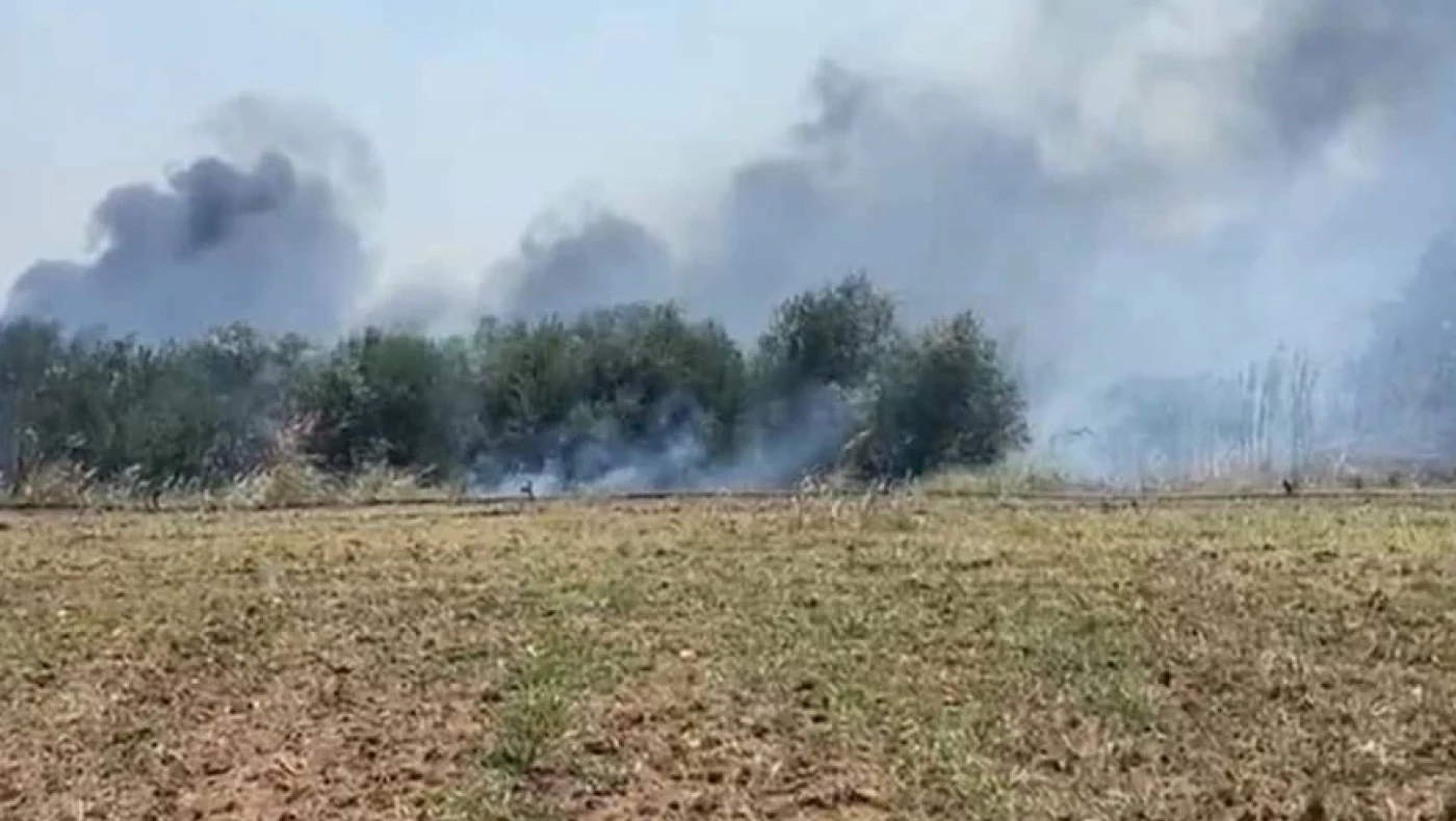 Θεσσαλονίκη: Οριοθετήθηκαν άμεσα οι φωτιές σε Θέρμη και Ωραιόκαστρο