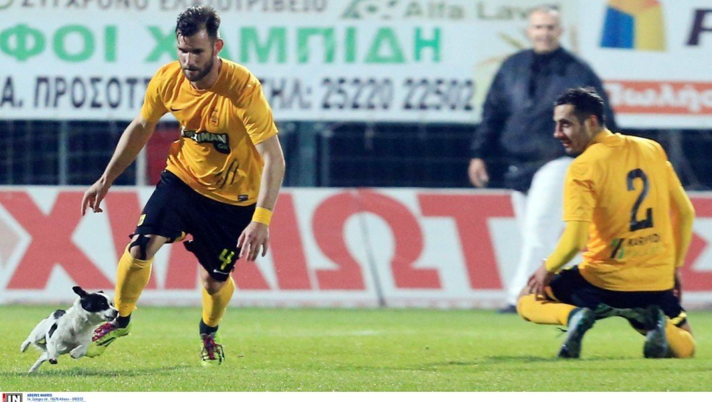 Ο «ασπρόμαυρος» εισβολέας στο Δόξα Δράμας - Άρης! (pics)