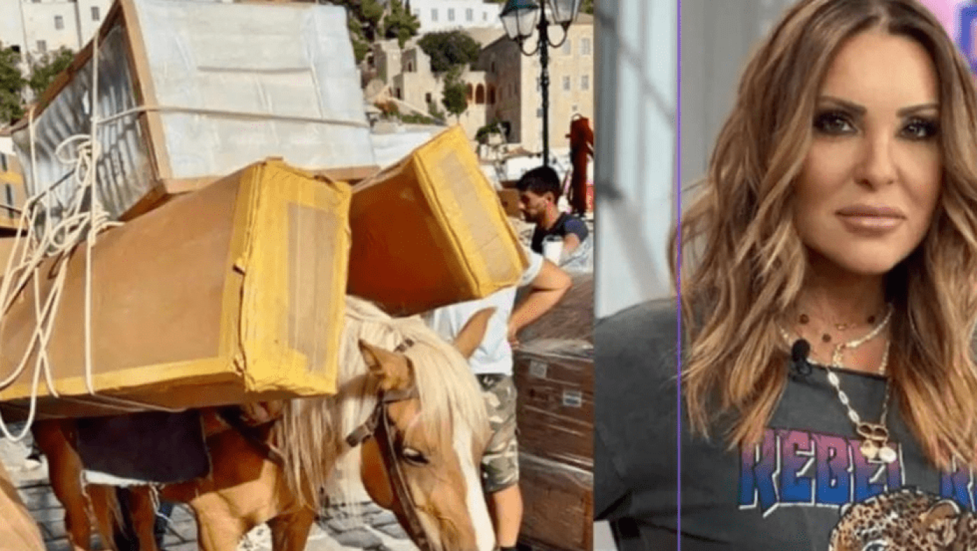 Ξεσπά η Γερμανού για τα γαϊδούρια στην Ύδρα: «Νησιά της ντροπής»