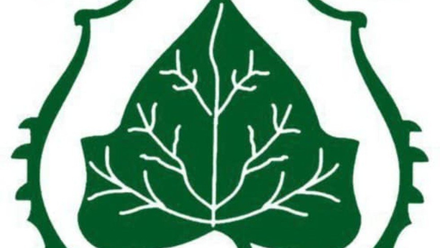 Ταλέντα στον Κισσό Χορτιάτη